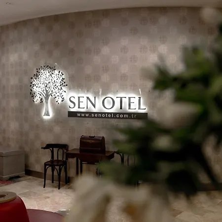 Sen 호텔 3*