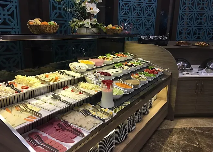 Sen Hotel Sakarya (Marmara)